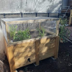 Rat mesh cage