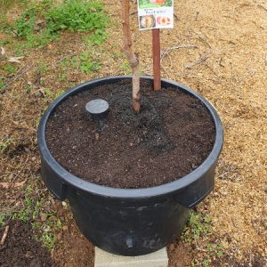 AHVG Round Planter