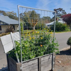 Trellis for timber beds