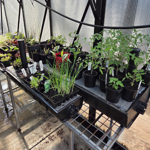 WaterUps® Sub Irrigation Channel with Capillary mat - Image 2